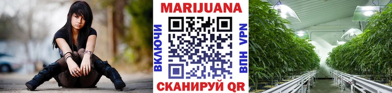 Конопля Bruce Banner  Северо-Курильск 